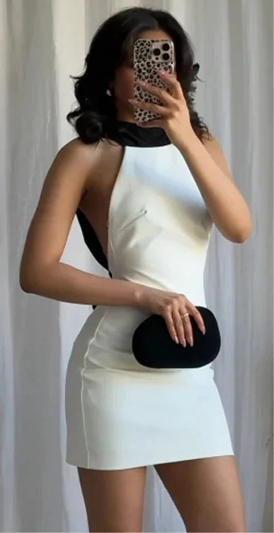 Evangeline Elegant Mini Dress